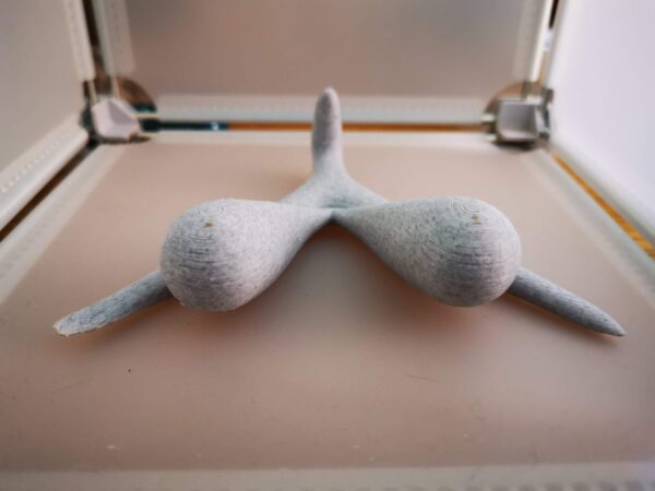 CLITORIS 3D MODEL -Feminist Room Decor - Modern Room Decor