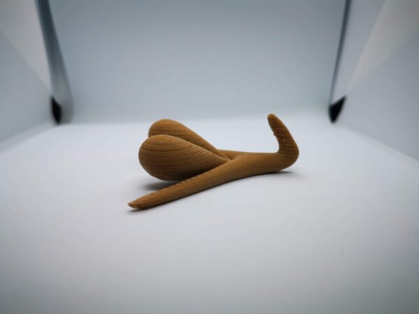 CLITORIS 3D MODEL -Feminist Room Decor - Modern Room Decor
